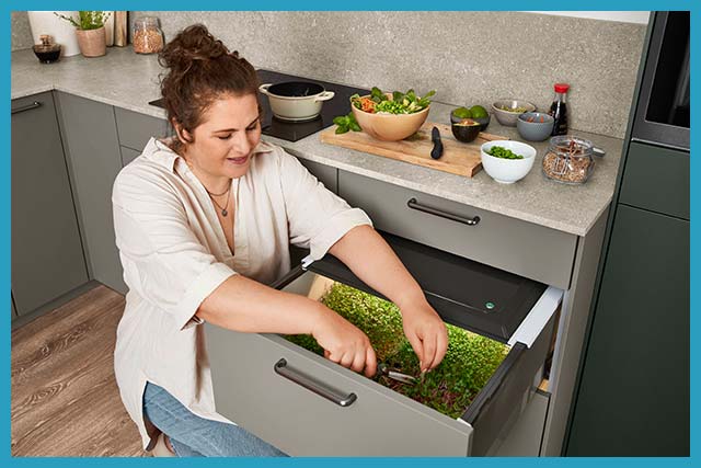 Frische Kräuter direkt aus Ihrer Küche