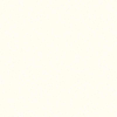 HIMACS Arctic White S006