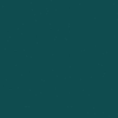 HIMACS Evergreen S119