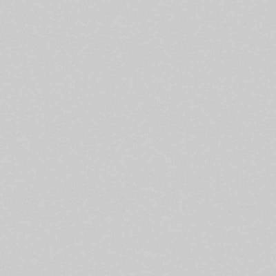 HIMACS Intense Ultra Light Grey S925U